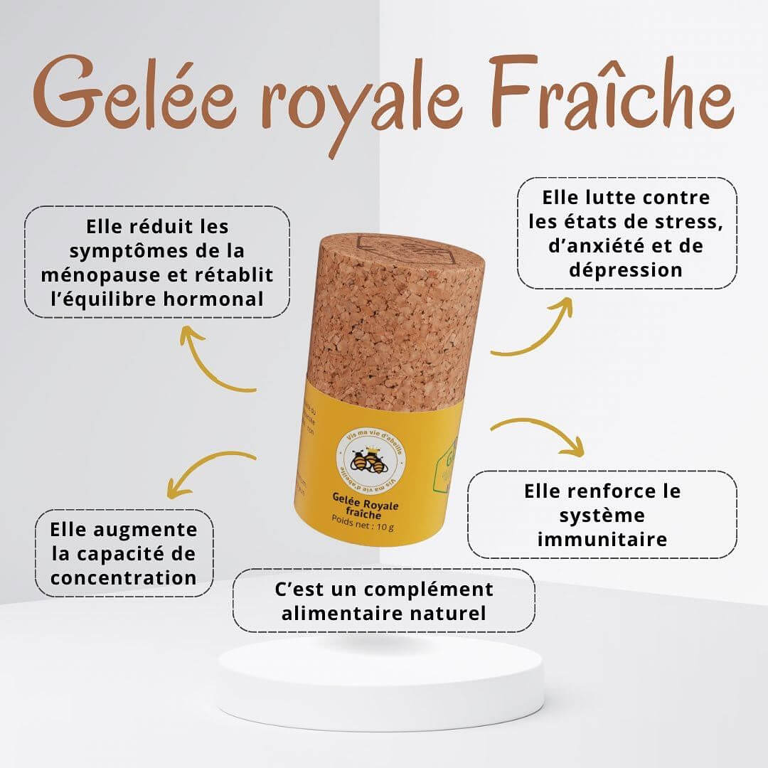 👑 Offre exclusive