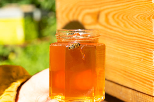 Le meilleur miel de Belgique 
