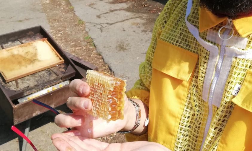 Le miel en rayon dégusté par l'apiculteur lui même. C'est un morceau de la ruche succulent à découvrir absolument.