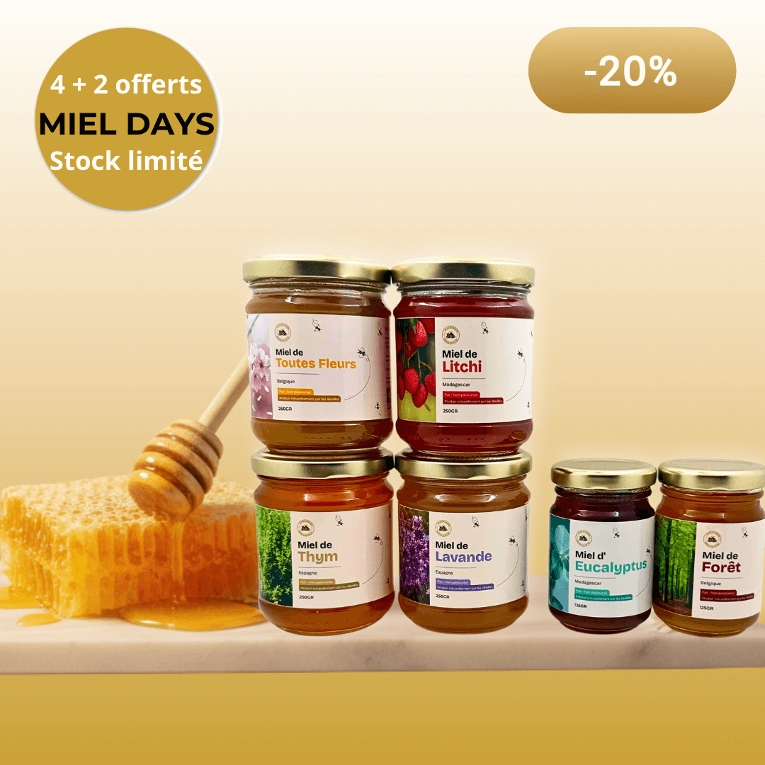 Pack Famille 4+2 Offert