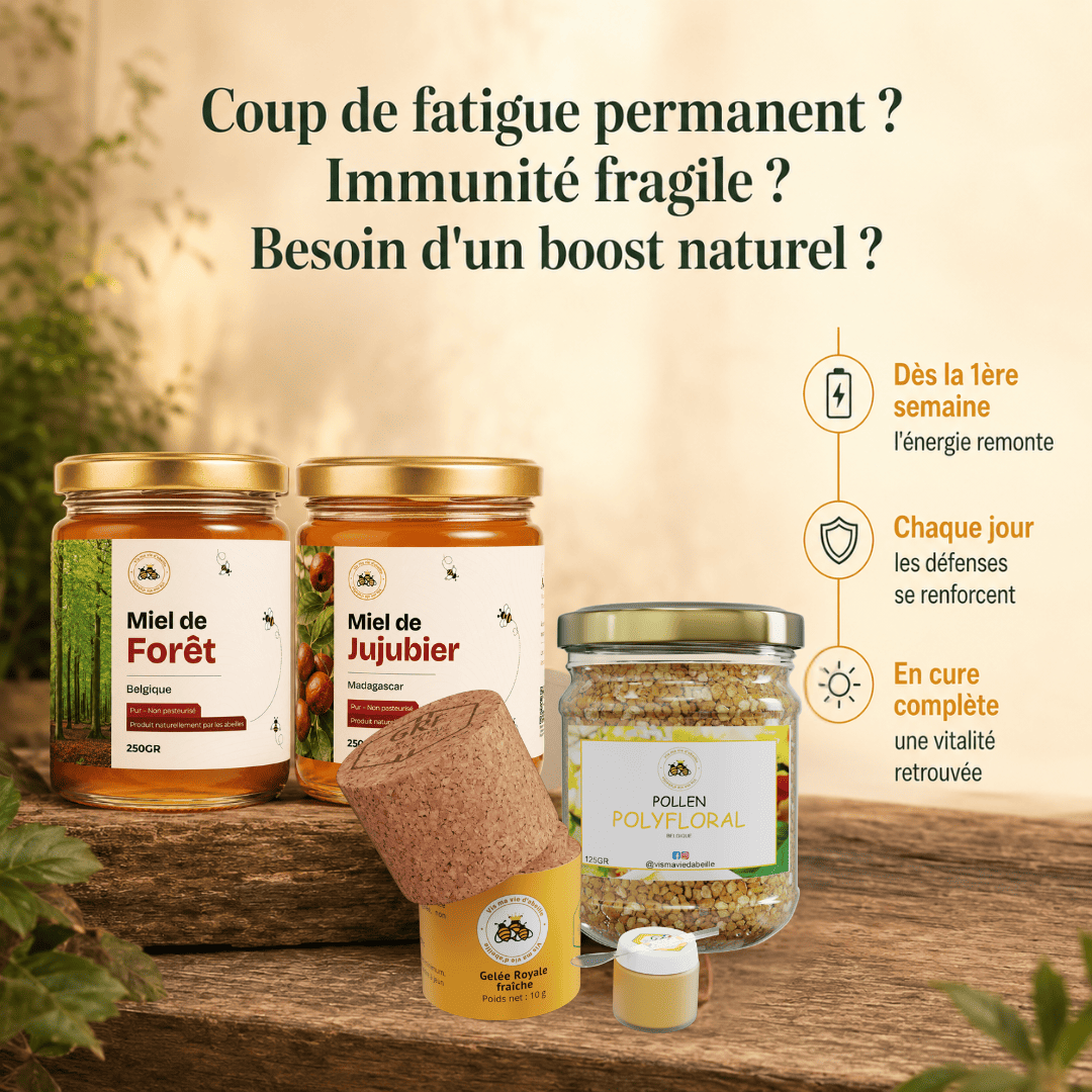 Composition du Pack Immunité & Énergie : miel de jujubier, miel de forêt, gelée royale fraîche et pollen d'abeille