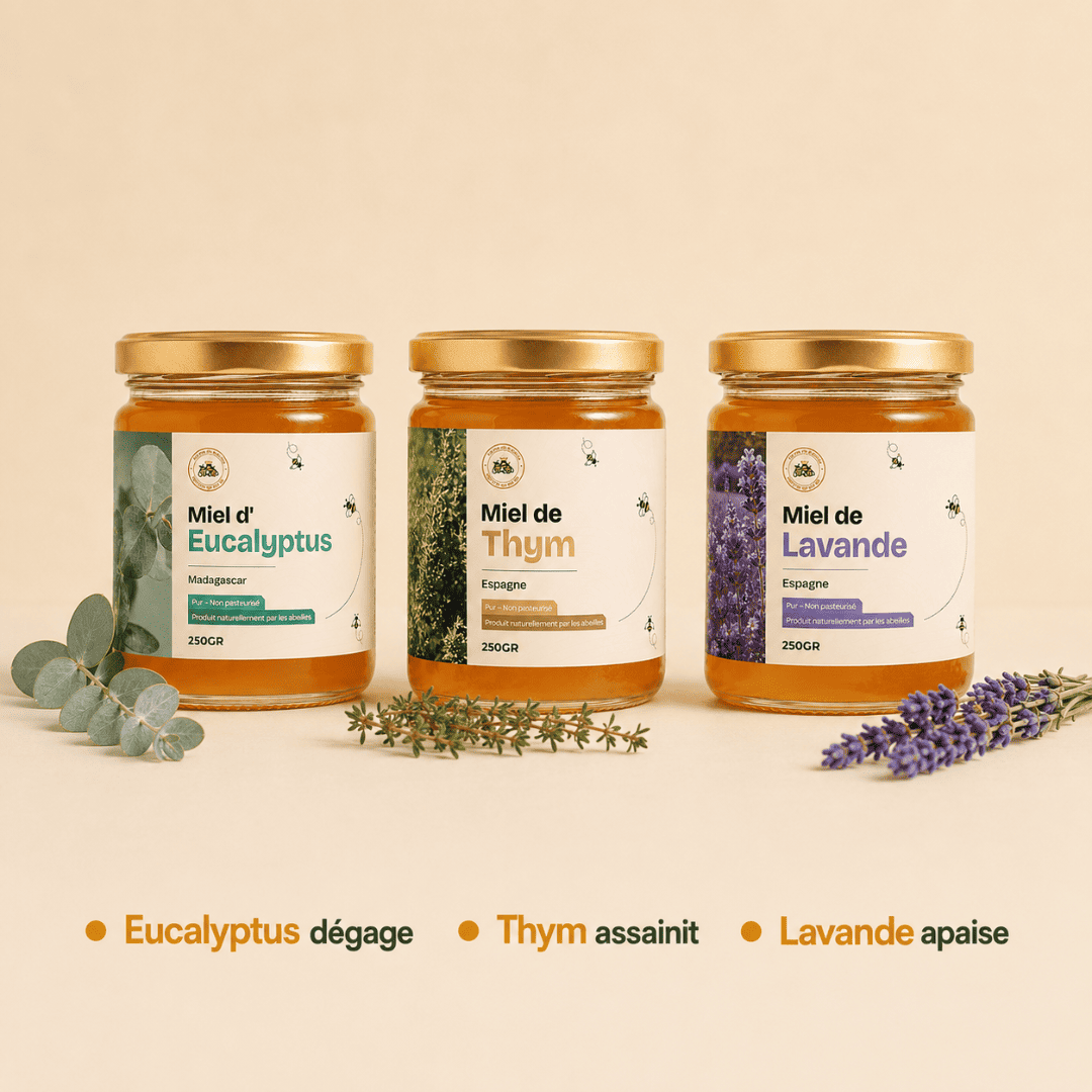 Bienfaits de chaque miel du Pack Toux & Hiver : eucalyptus qui dégage, thym qui assainit, lavande qui apaise
